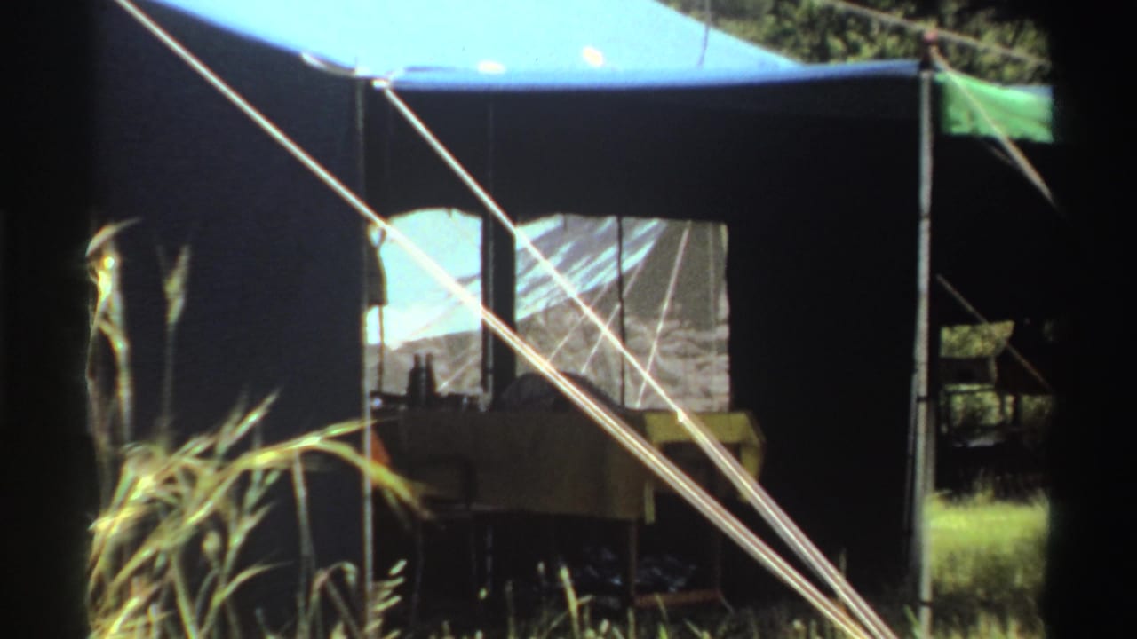 A closer 1969 Nigeria view of a large blue-and-dark tent with mesh panels, guy ropes, grass, and shaded trees.