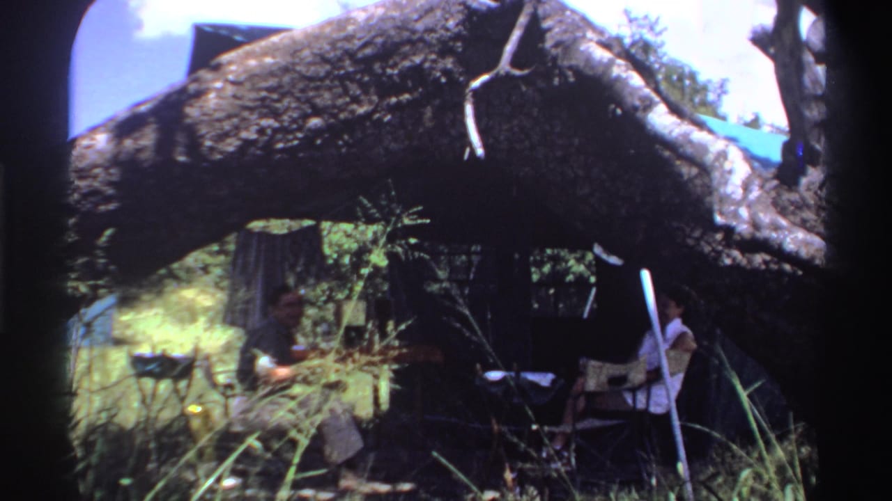 In Nigeria, 1969, a large tree branch frames a shaded tent where two adults sit near folding furniture.