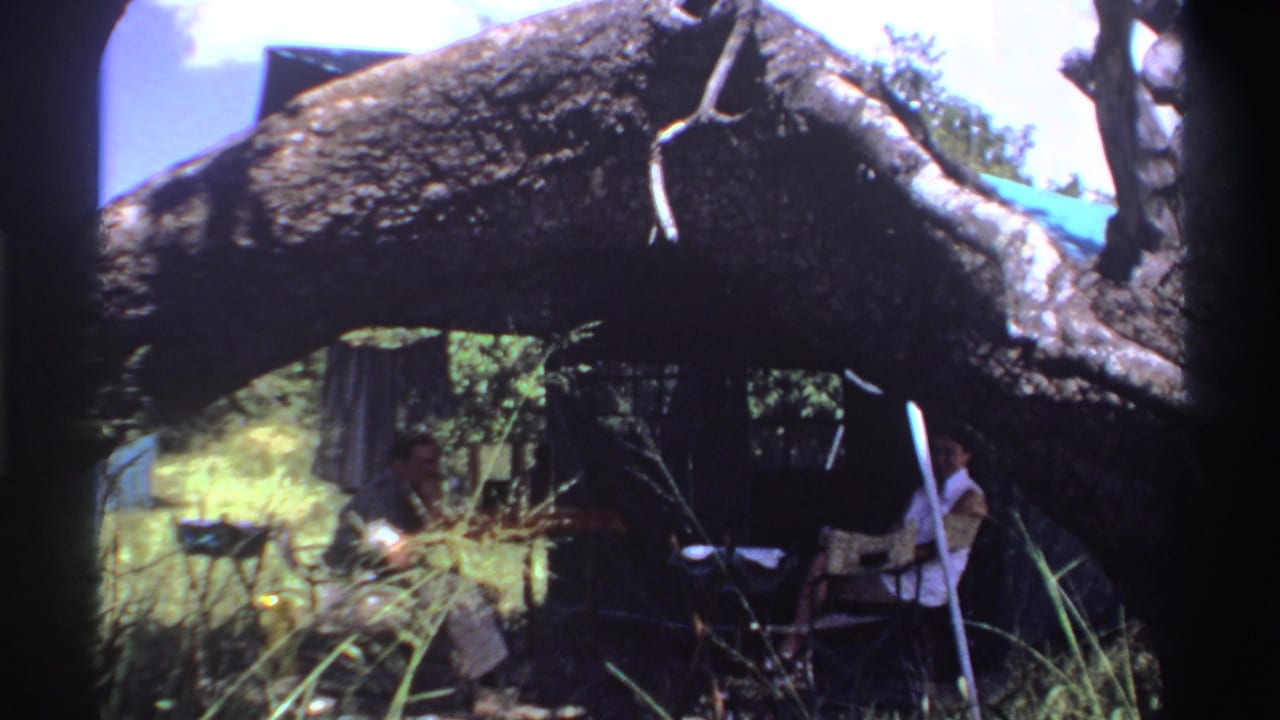 Two people sit beneath a large fallen tree in tall grass with a blue tarp behind them.
