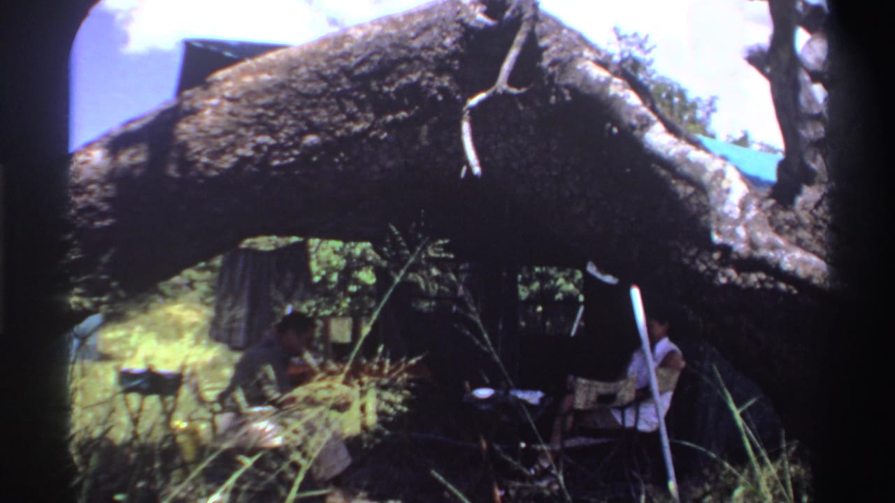 1969 Nigeria home-movie frame with seated figures beneath a large fallen tree, one near a chair and another partly obscured by grass and shade.