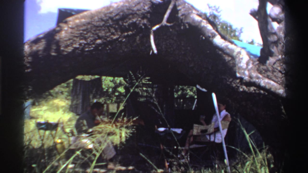 Soft 8mm frame from Nigeria in 1969 showing two people seated beneath a fallen tree, with grass, foliage, a chair, and tarp material nearby.