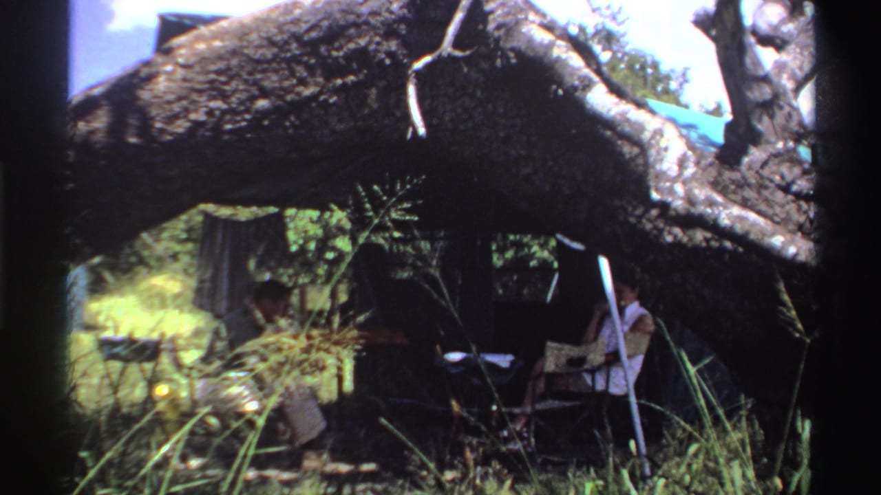 1969 Nigeria 8mm frame showing a seated person in a light shirt beside a folding chair, under a large fallen tree with grass and foliage around them.