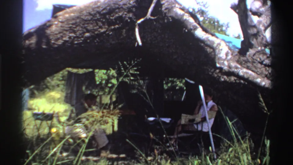 1969 Nigeria 8mm frame showing a seated person in a light shirt beside a folding chair, under a large fallen tree with grass and foliage around them.