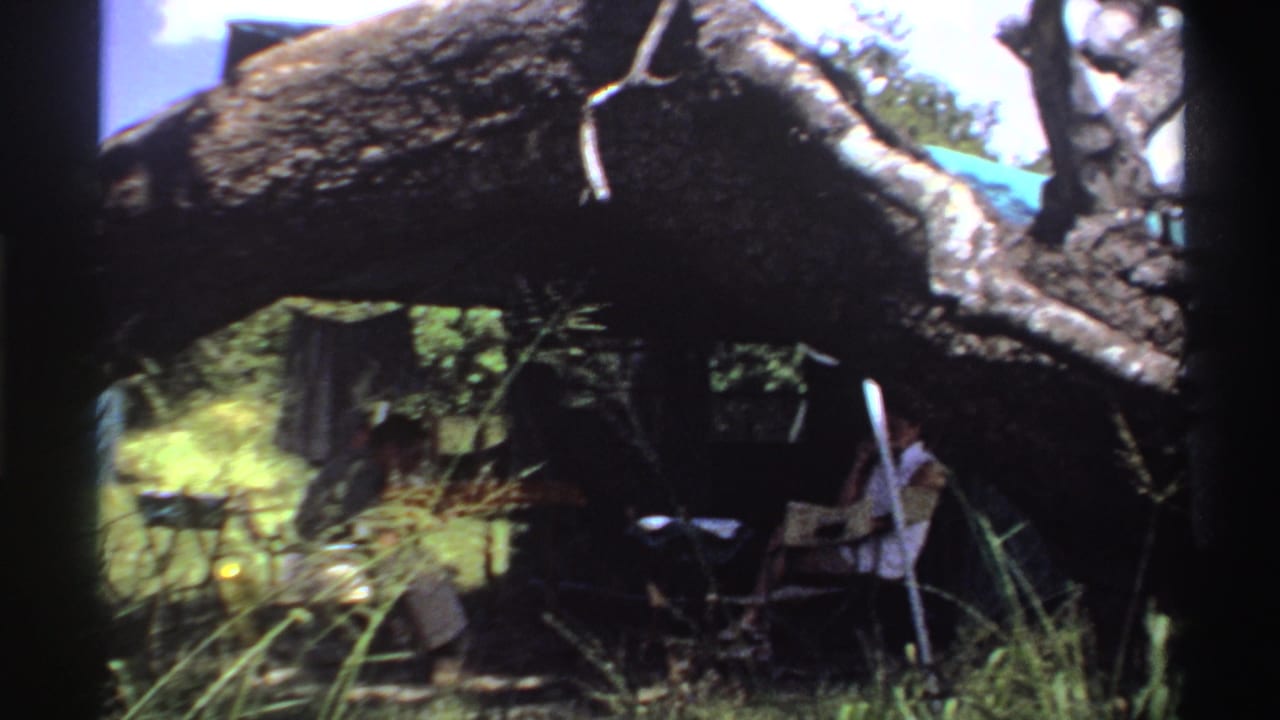 Adults sit in shade beneath a large fallen tree trunk surrounded by tall grass.