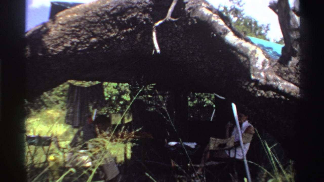 A shaded outdoor shelter under a fallen tree trunk with seated adults and grass in front.