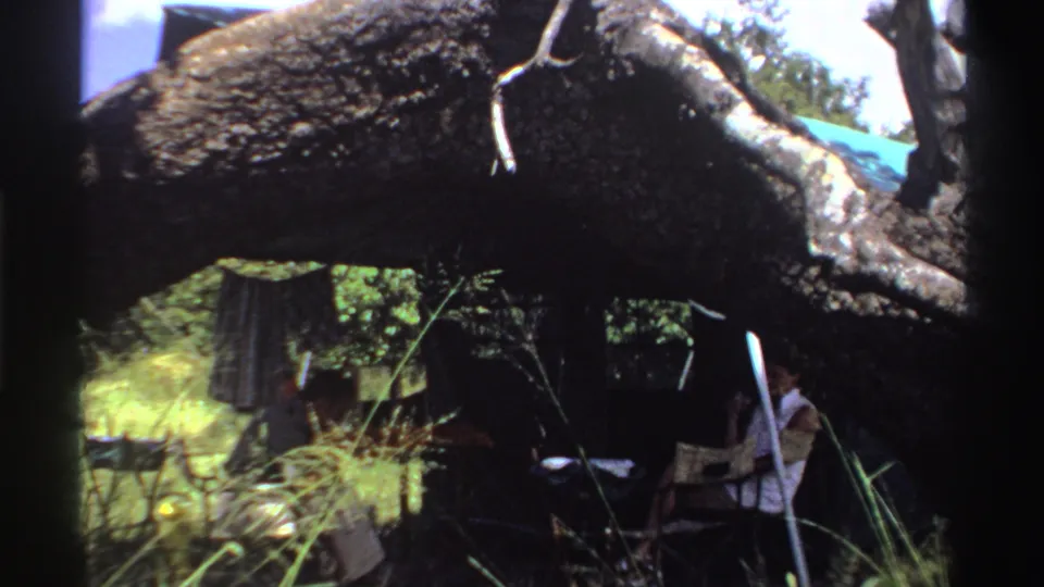 1969 Nigeria home-movie frame of seated adults beneath a heavy tree trunk, with improvised shade and dense grass in the foreground.