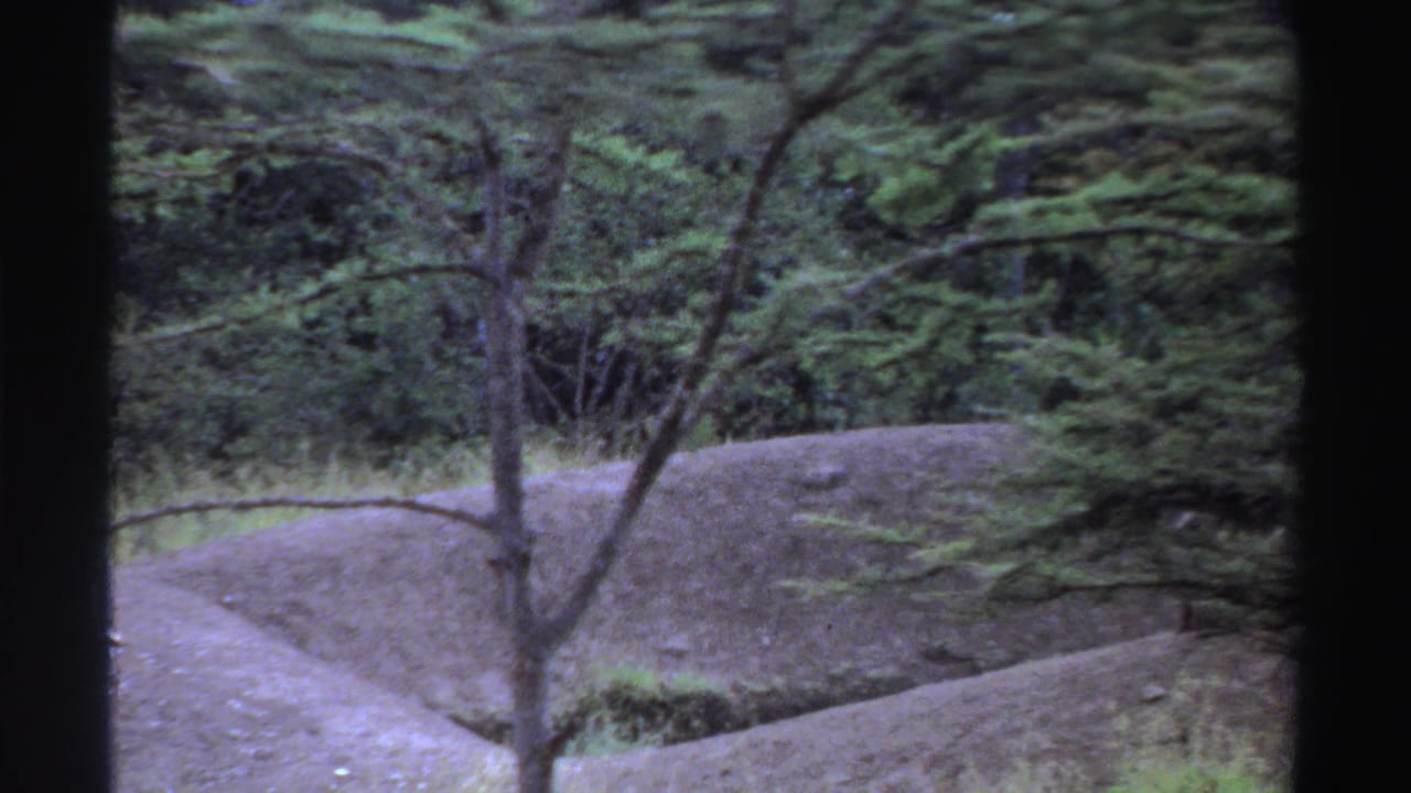 The camera frames trees, grass, earth mounds, and a narrow dirt path in the same Nigeria 1969 outdoor wildlife setting.