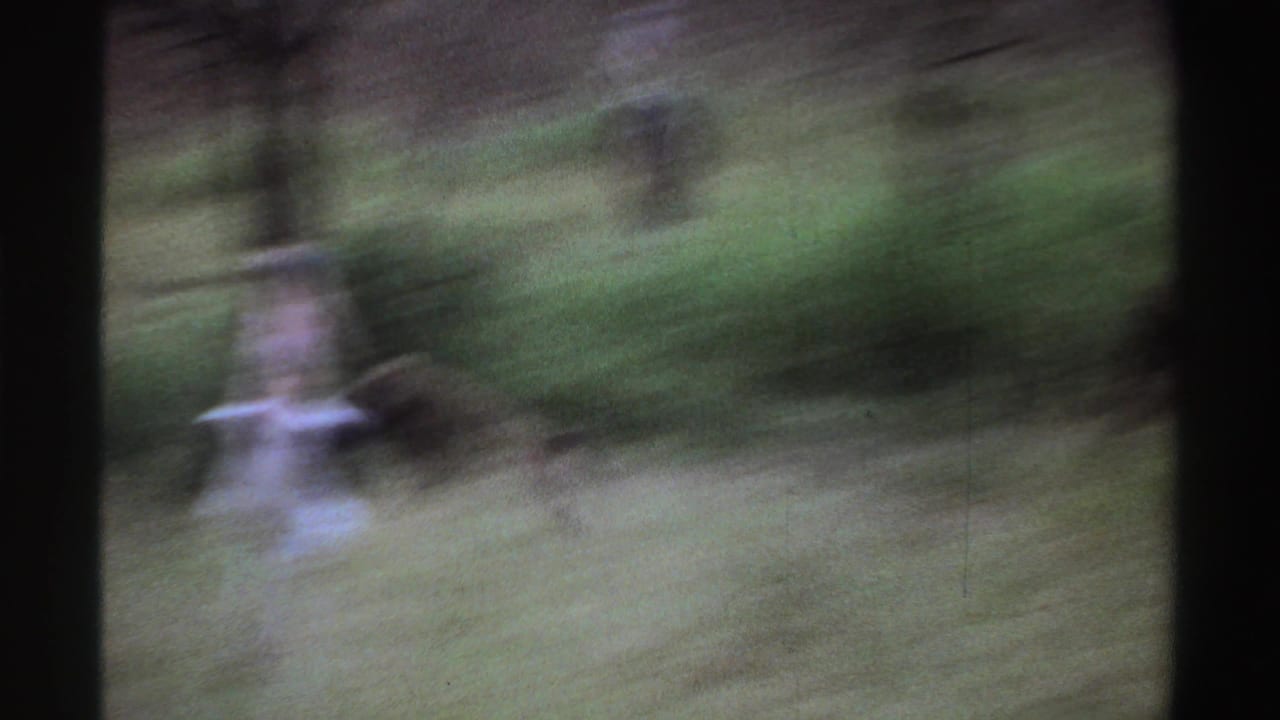 1969 Nigeria 8mm frame showing blurred primates moving through tall grass beside scattered trees.