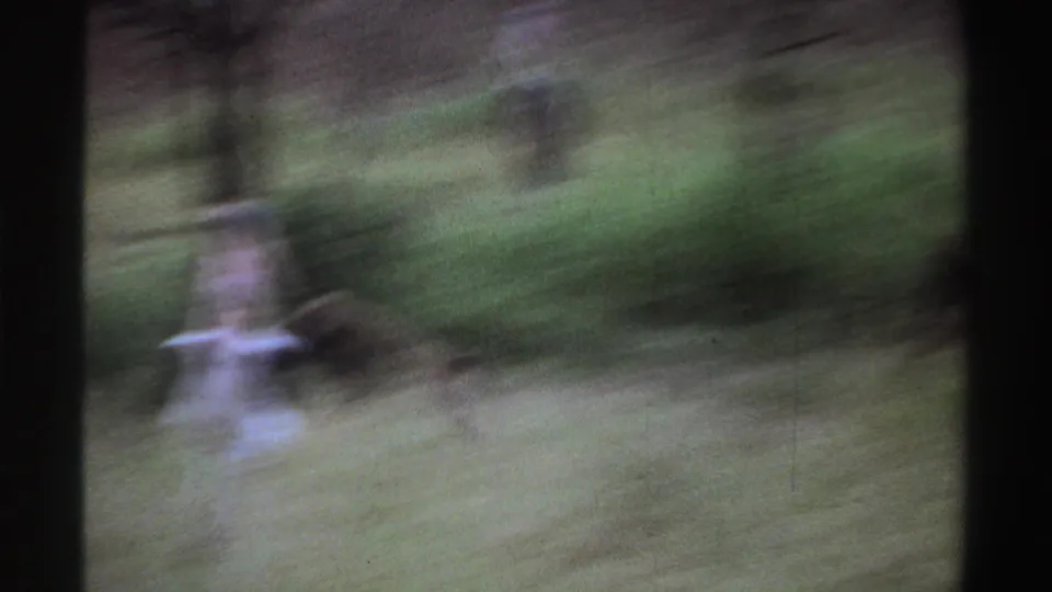 1969 Nigeria 8mm frame showing blurred primates moving through tall grass beside scattered trees.