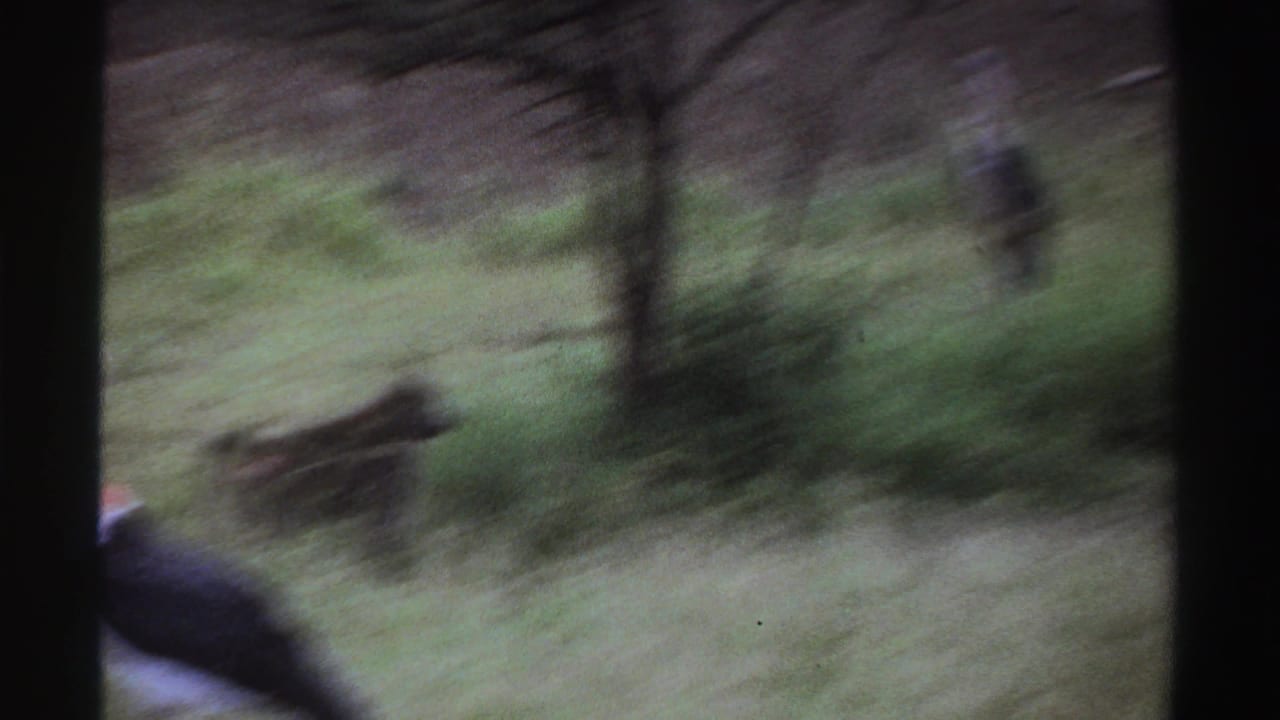 1969 Nigeria 8mm frame with motion-blurred stork and primates in tall grass near trees.