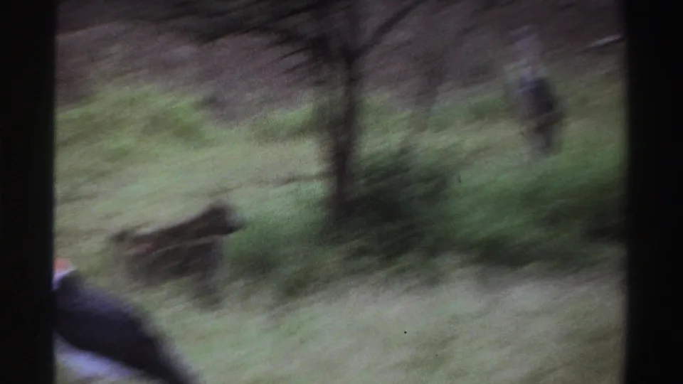 1969 Nigeria 8mm frame with motion-blurred stork and primates in tall grass near trees.