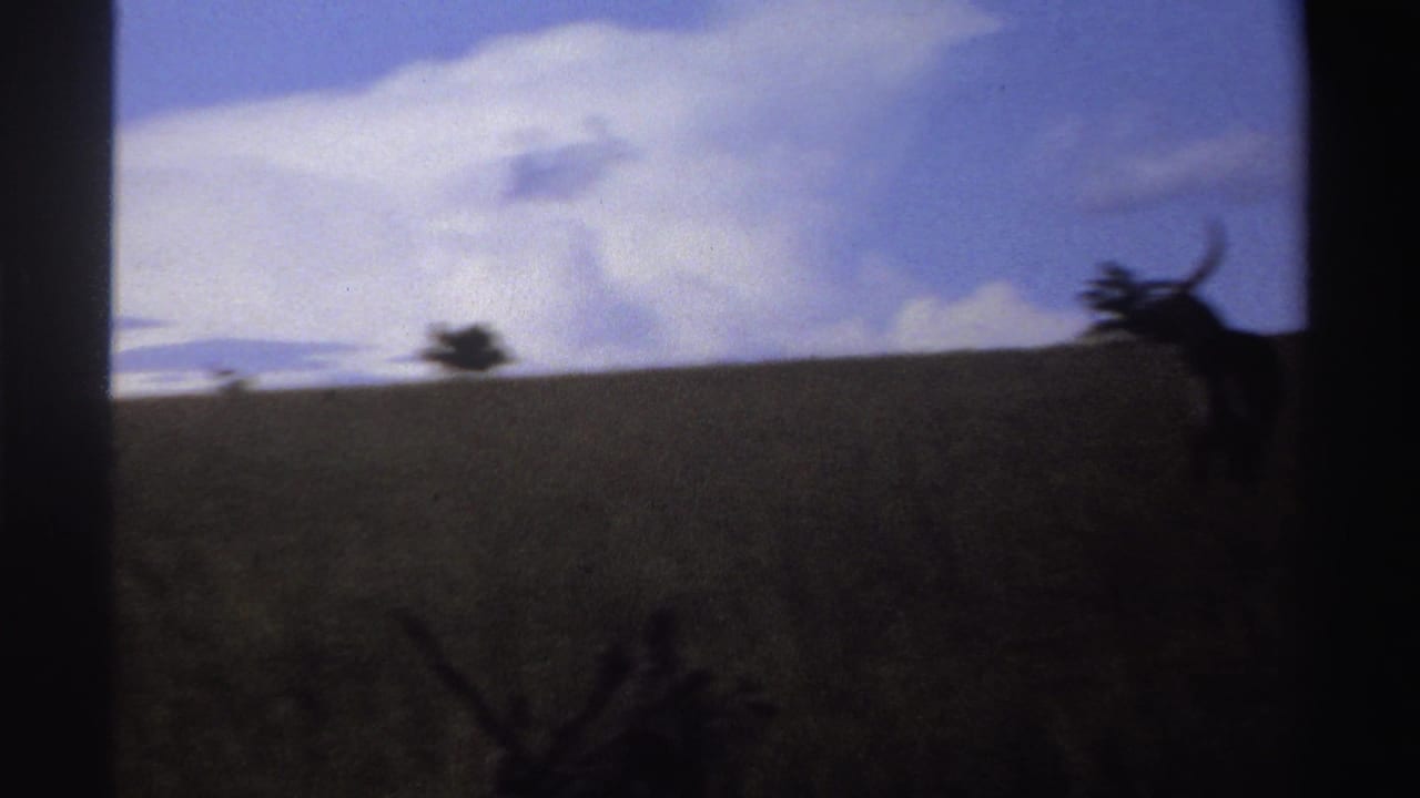 1969 Nigeria 8mm frame showing a partly framed antelope near the right edge, with tall grass, low trees, and bright cloud above.