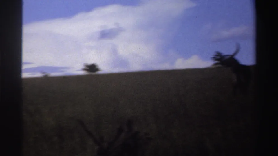 1969 Nigeria 8mm frame showing a partly framed antelope near the right edge, with tall grass, low trees, and bright cloud above.