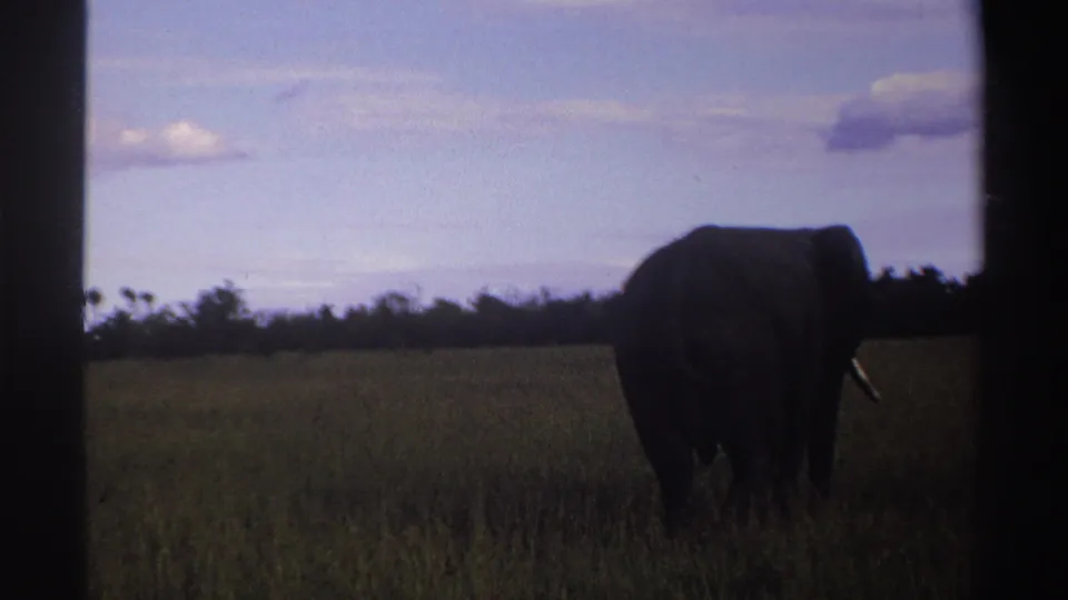 1969 Nigeria 8mm frame showing a distant elephant silhouette in grassland, bordered by dark film edges.