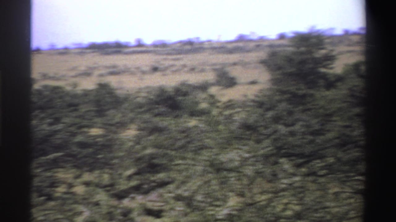 Blurred savanna shrubs and a grassy ridge seen through dark film-frame borders.
