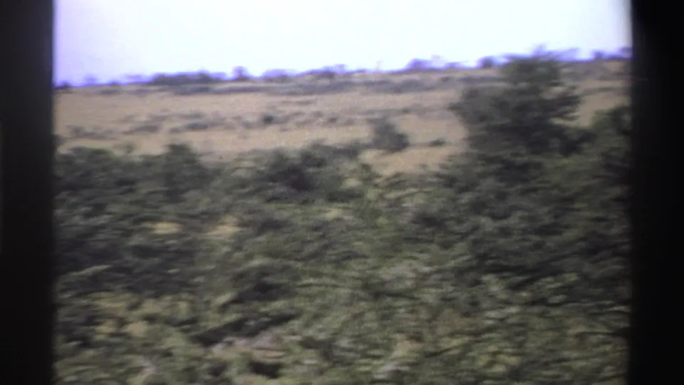 1969 Nigeria 8mm frame with soft, blurred savanna shrubs, low trees, a grassy ridge, pale sky, and dark frame borders.