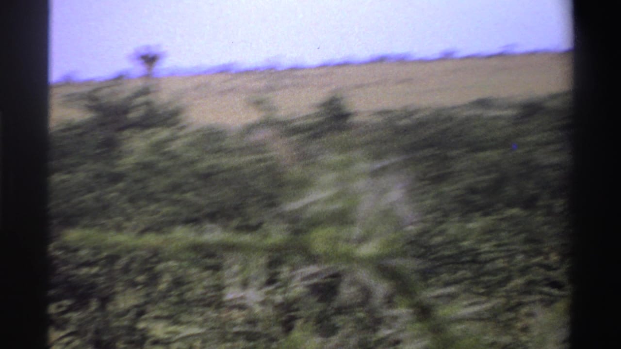 1969 Nigeria 8mm frame showing dense brush, a grassy hillside, pale sky, and a distant giraffe-like head above the horizon.