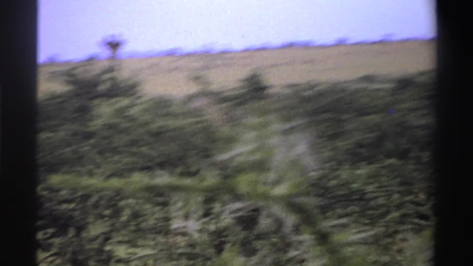 1969 Nigeria 8mm frame showing dense brush, a grassy hillside, pale sky, and a distant giraffe-like head above the horizon.