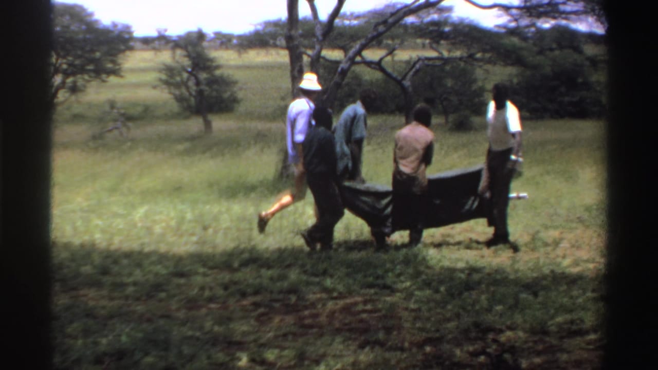 Several men carry a dark stretcher or cloth through a grassy field with trees behind them.