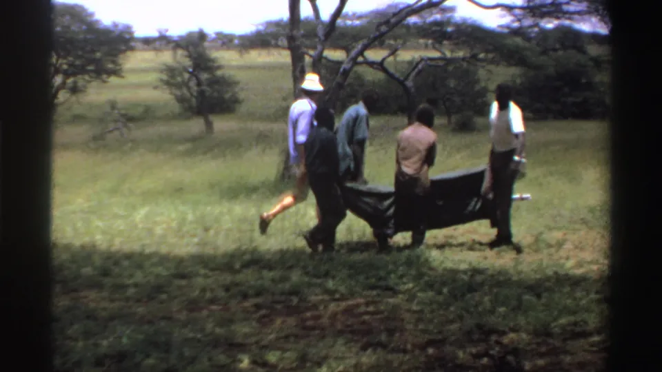 In 1969 Nigeria, several men appear to carry a person or bundle on a dark stretcher across a grassy savanna field.