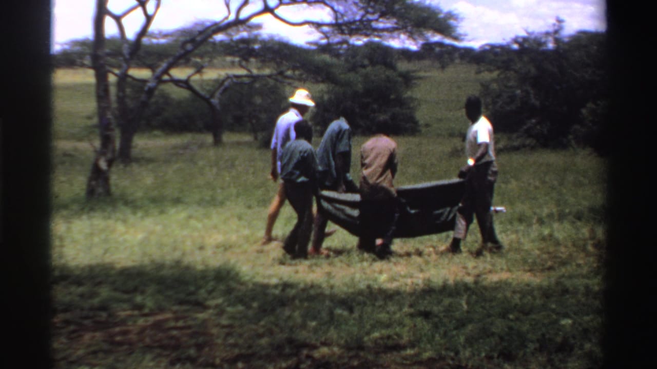 The group continues across the Nigerian field, with a man in a white hat walking beside others holding the dark stretcher.