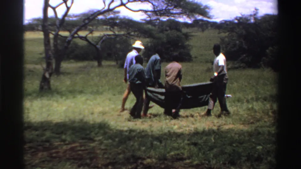 The group continues across the Nigerian field, with a man in a white hat walking beside others holding the dark stretcher.