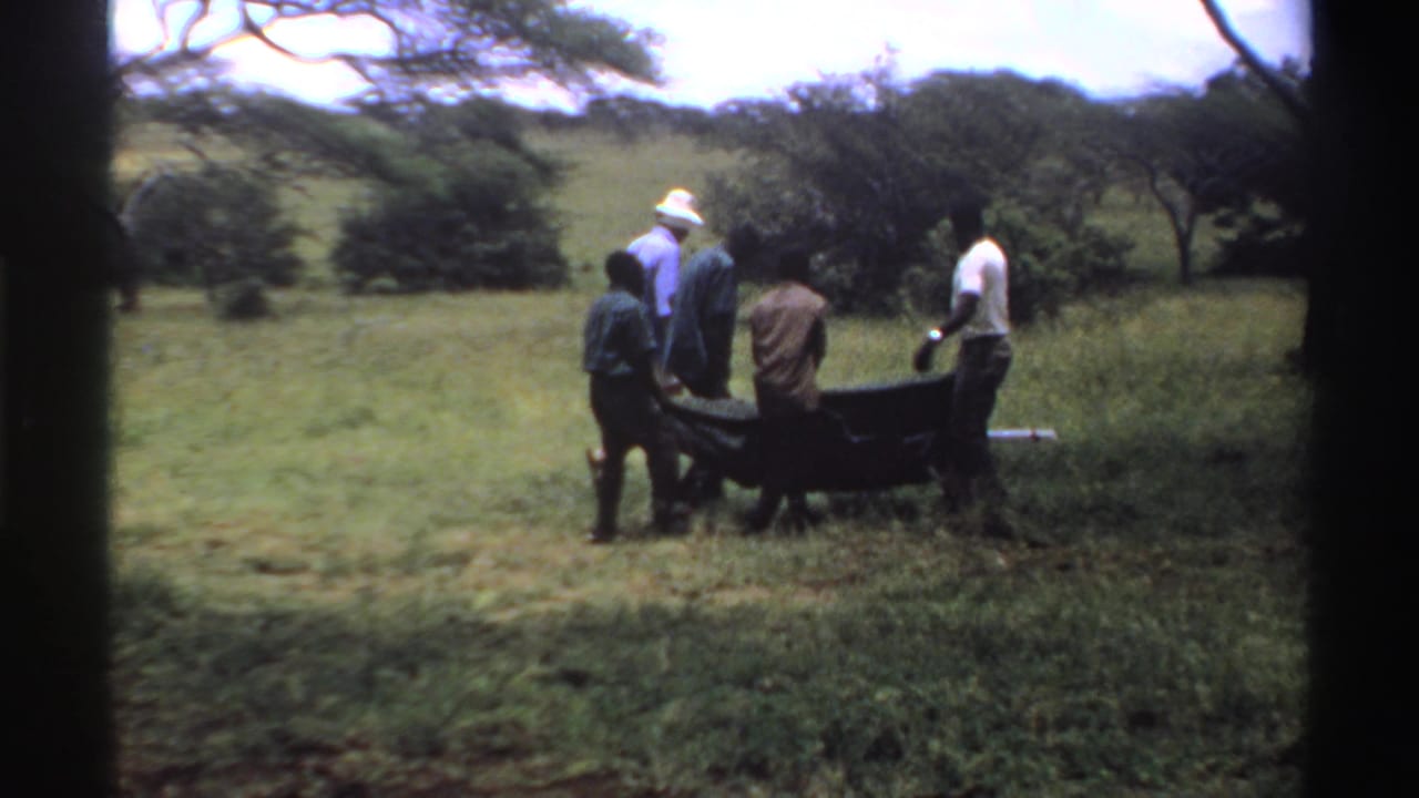 Several men seen from behind carry the dark stretcher farther into a grassy Nigerian savanna setting.