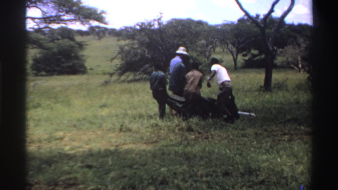 Near the end of the clip, the men carry the stretcher away through grass, framed by trees and soft 8mm color.