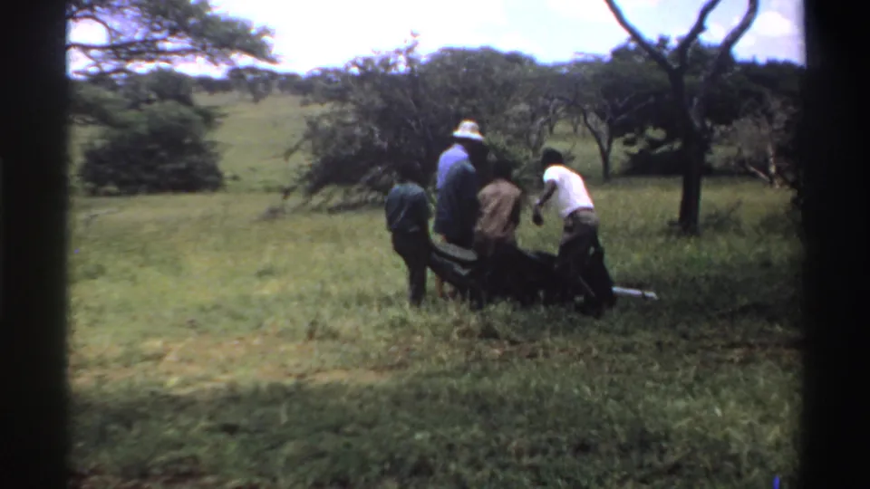 Near the end of the clip, the men carry the stretcher away through grass, framed by trees and soft 8mm color.