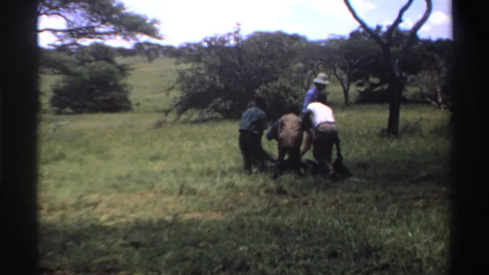 In Nigeria 1969 home-movie footage, men gather around a dark bag on grass beneath scattered trees.