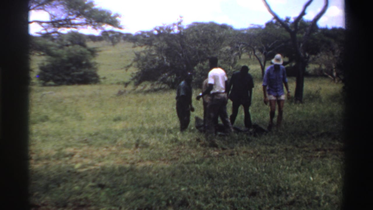Men stand and bend near a dark bag on grass among trees.