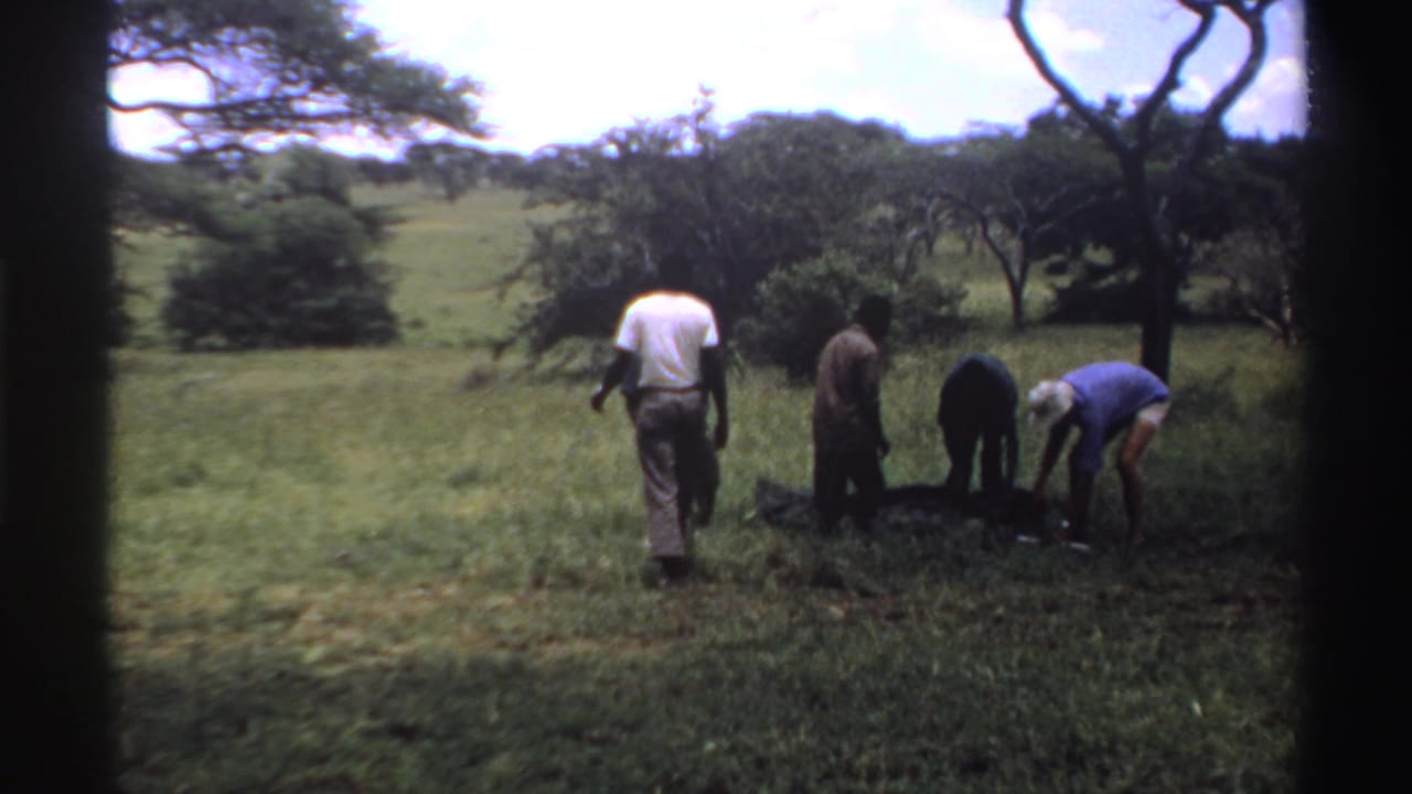 Men in a grassy Nigerian field bend toward a long object beside a dark bag or covering.