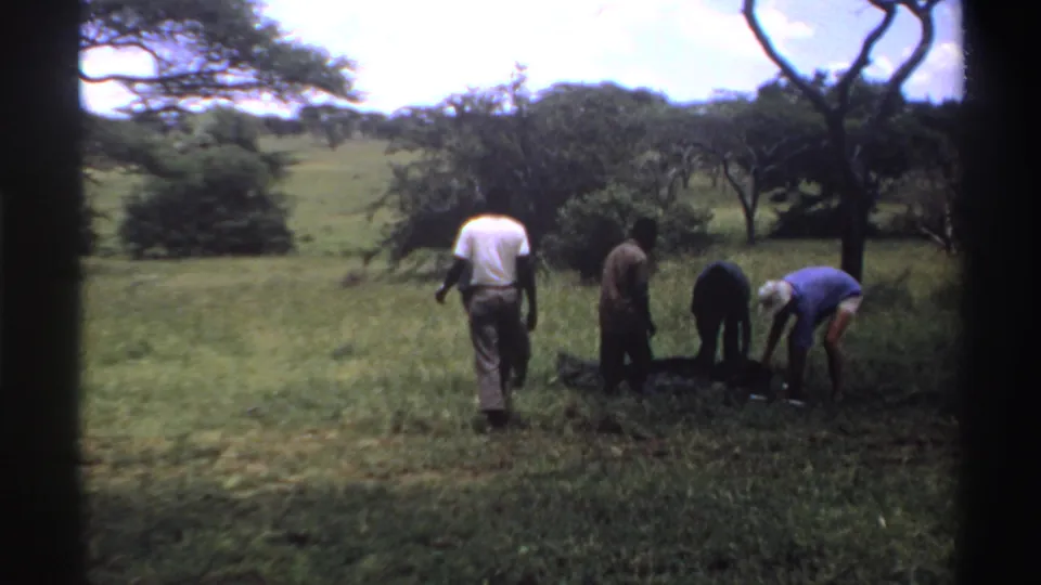 Men in a grassy Nigerian field bend toward a long object beside a dark bag or covering.
