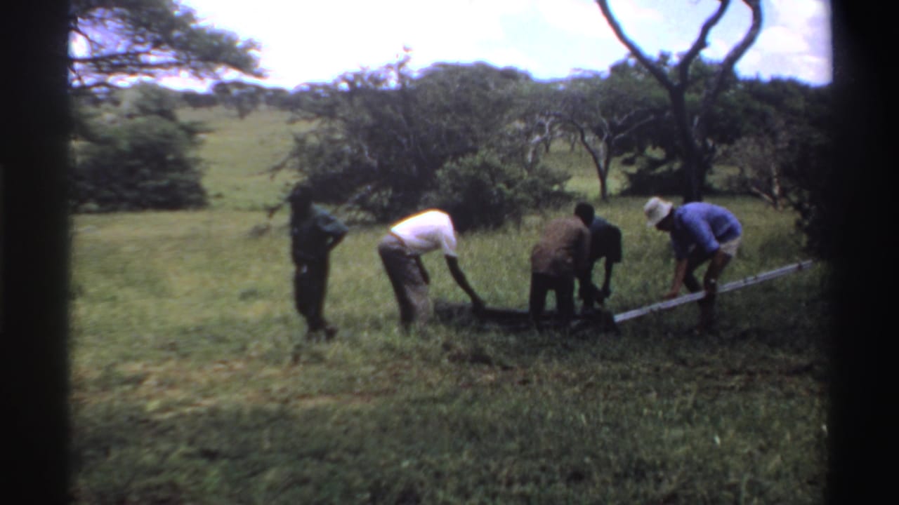 Men work around a dark ground cloth in a grassy field with trees.