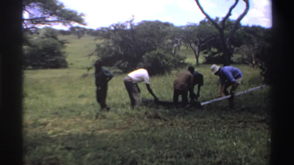In metadata-supported 1969 Nigeria, several men gather in a grassy field and begin arranging a dark tent or tarp under scattered trees.