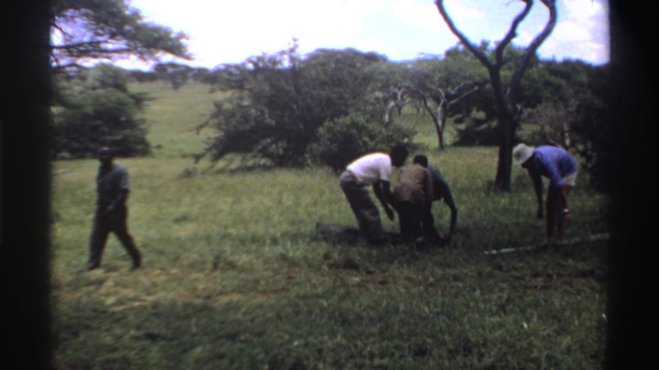 A man walks across the field as others bend over dark tent material, with a man in a blue shirt and white hat standing nearby.