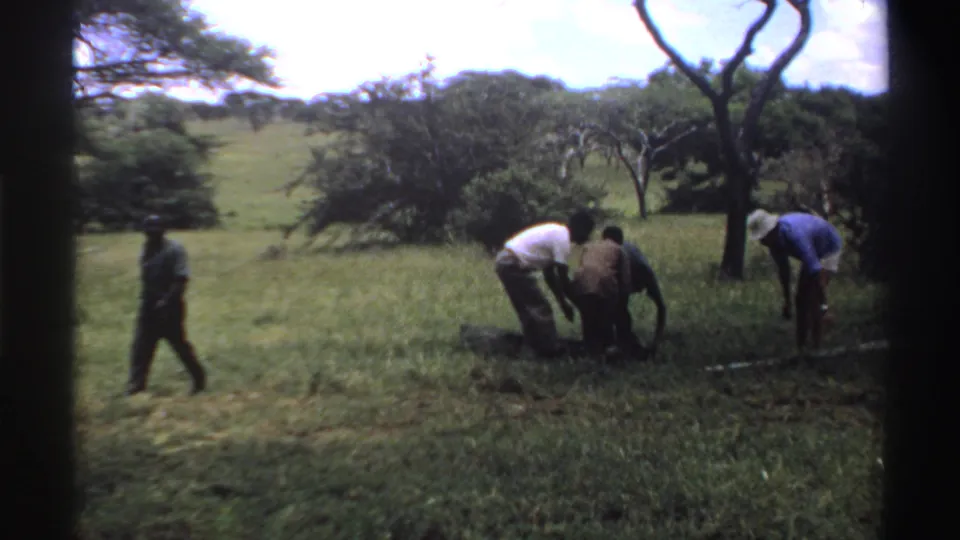 A man walks across the field as others bend over dark tent material, with a man in a blue shirt and white hat standing nearby.