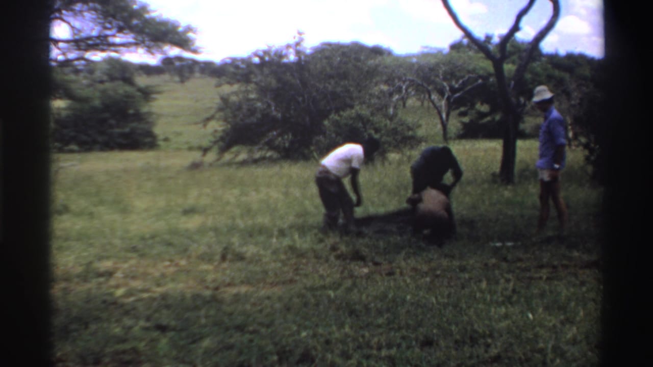 The group continues handling the dark cloth in the grassy clearing, with one man standing aside and others bending close to the ground.