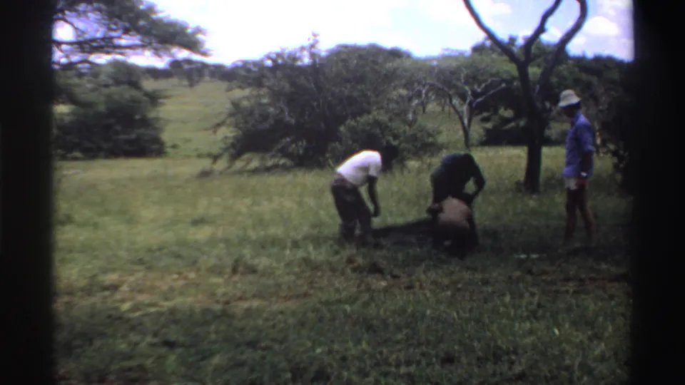The group continues handling the dark cloth in the grassy clearing, with one man standing aside and others bending close to the ground.