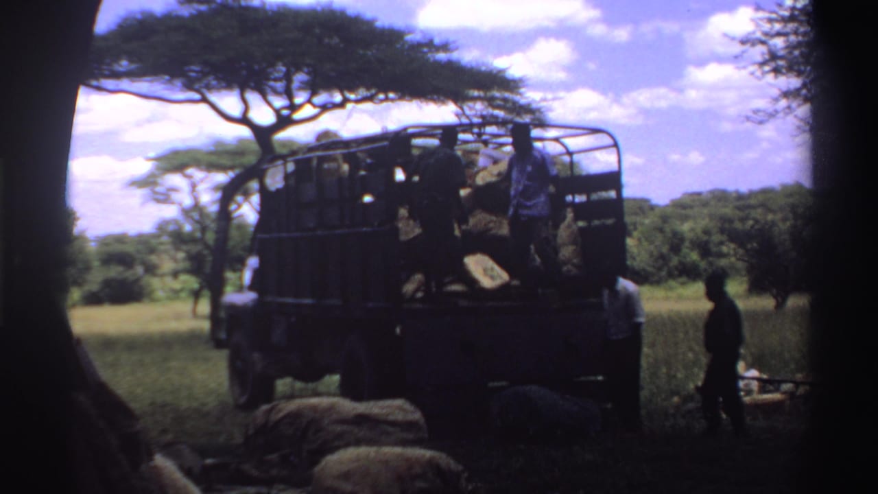 1969 Nigeria 8mm frame of a dark open-sided truck in savanna shade with people unloading or arranging sacks.