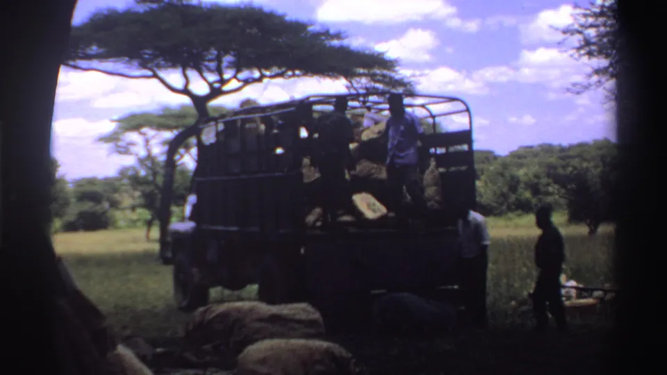 1969 Nigeria 8mm frame of a dark open-sided truck in savanna shade with people unloading or arranging sacks.