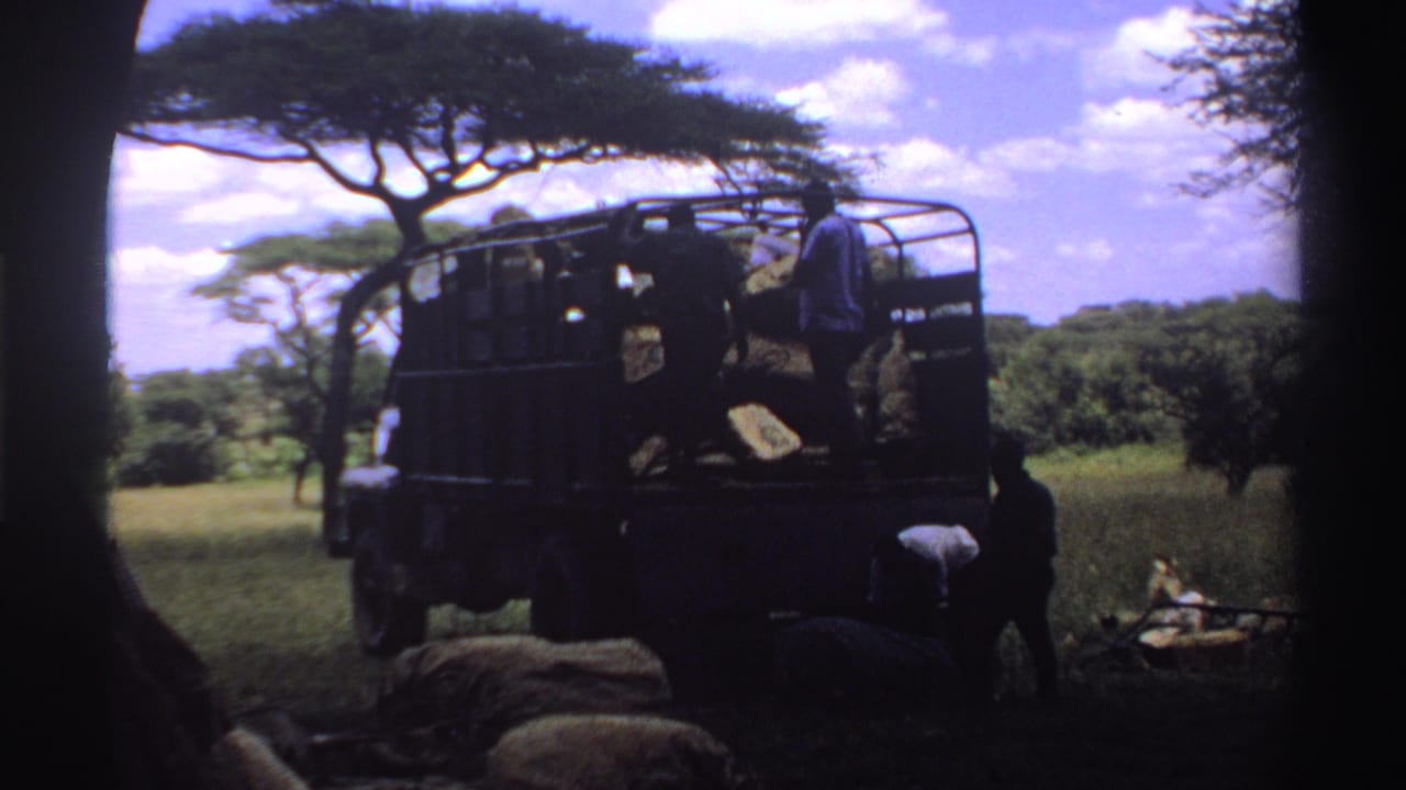 1969 Nigeria 8mm frame showing people beside a dark open-sided truck with sacks in a rural savanna setting.