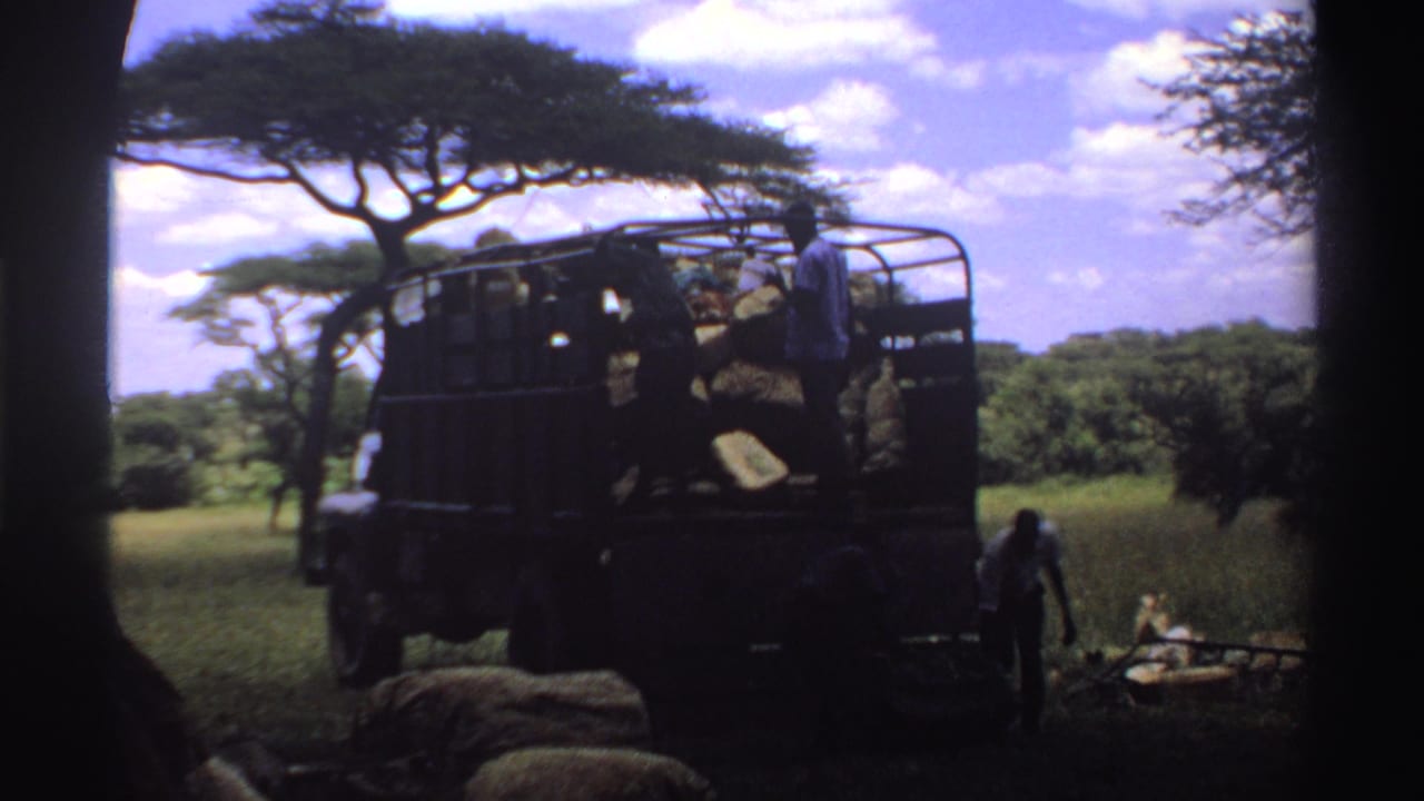 Truck loaded with hay in a grassy field as people work nearby under trees.
