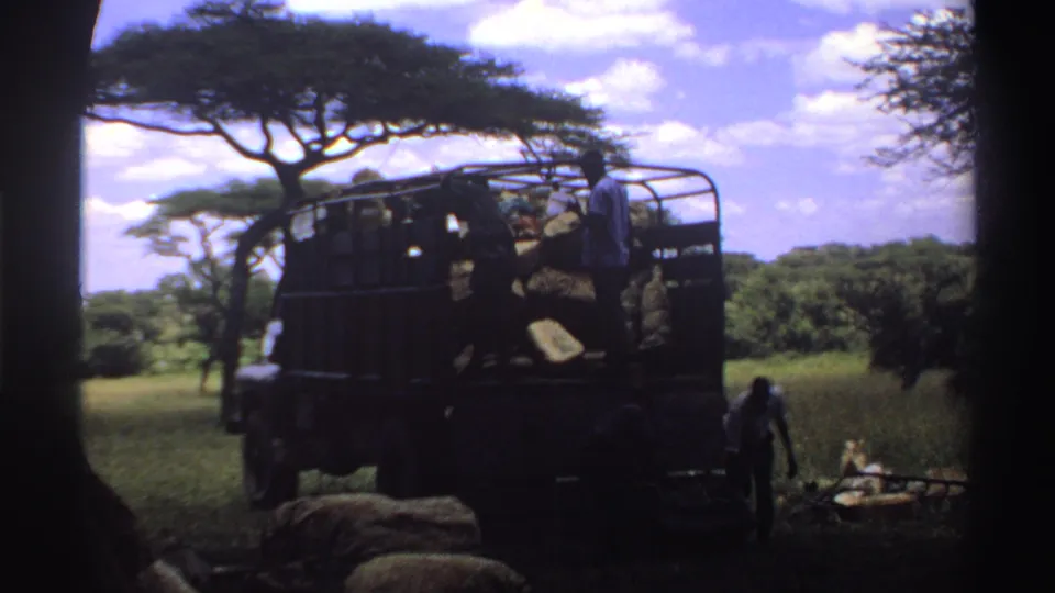 1969 Nigeria 8mm frame showing a hay-loaded truck in tall grass with workers near acacia-like trees.