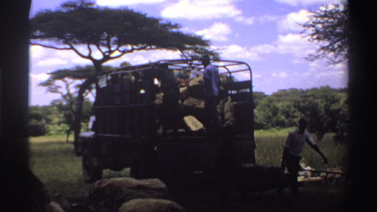 1969 Nigeria 8mm frame with a truck stacked with hay and people working beside loose hay in a field.