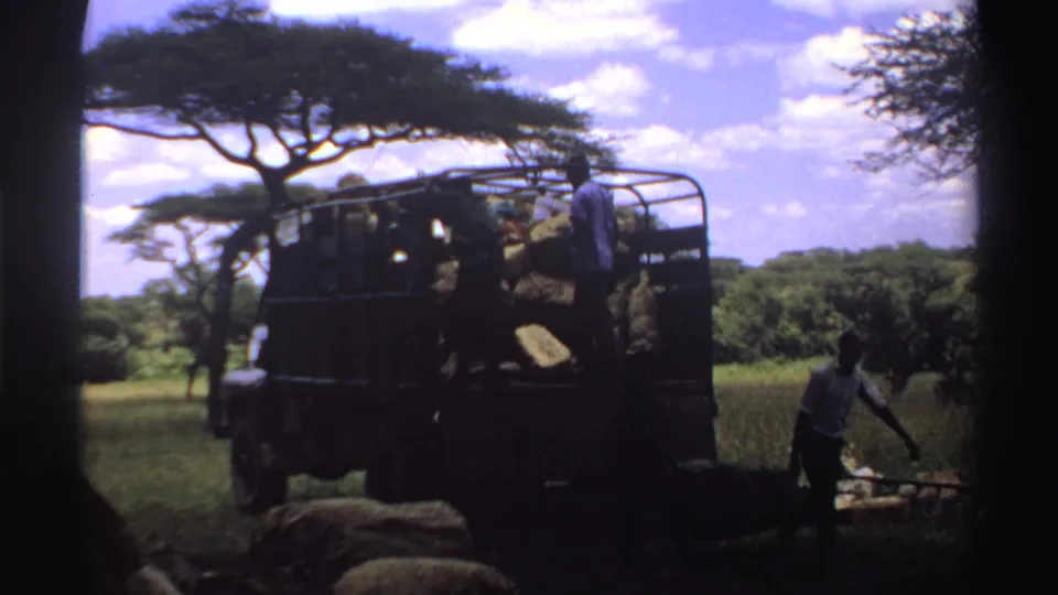 1969 Nigeria 8mm frame with a truck stacked with hay and people working beside loose hay in a field.