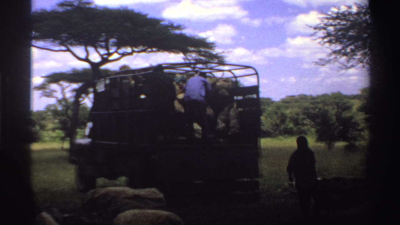 1969 Nigeria 8mm frame showing workers around the rear of a hay-filled truck in a grassy rural setting.