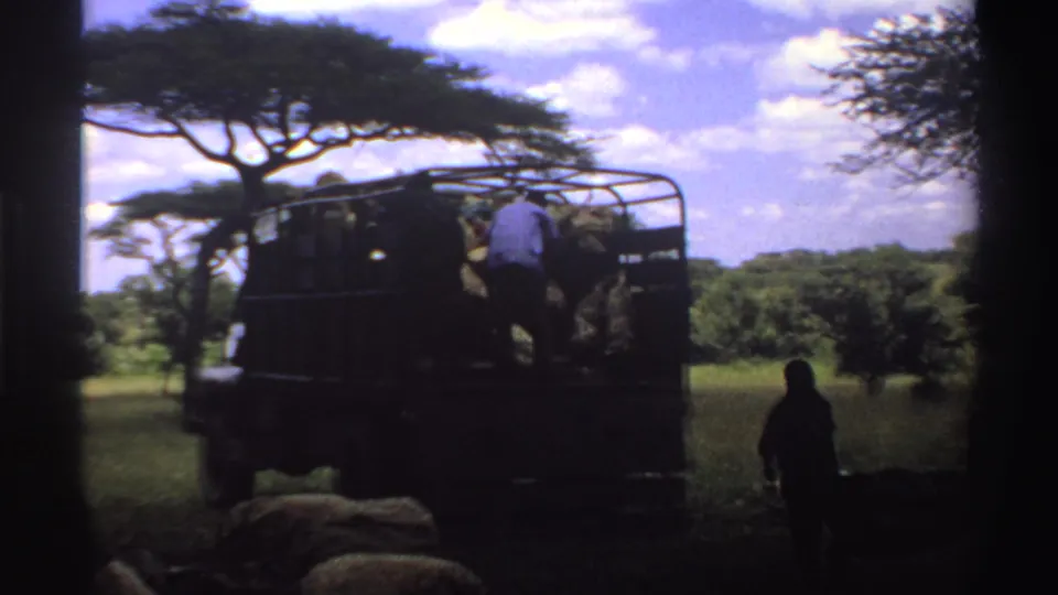 1969 Nigeria 8mm frame showing workers around the rear of a hay-filled truck in a grassy rural setting.