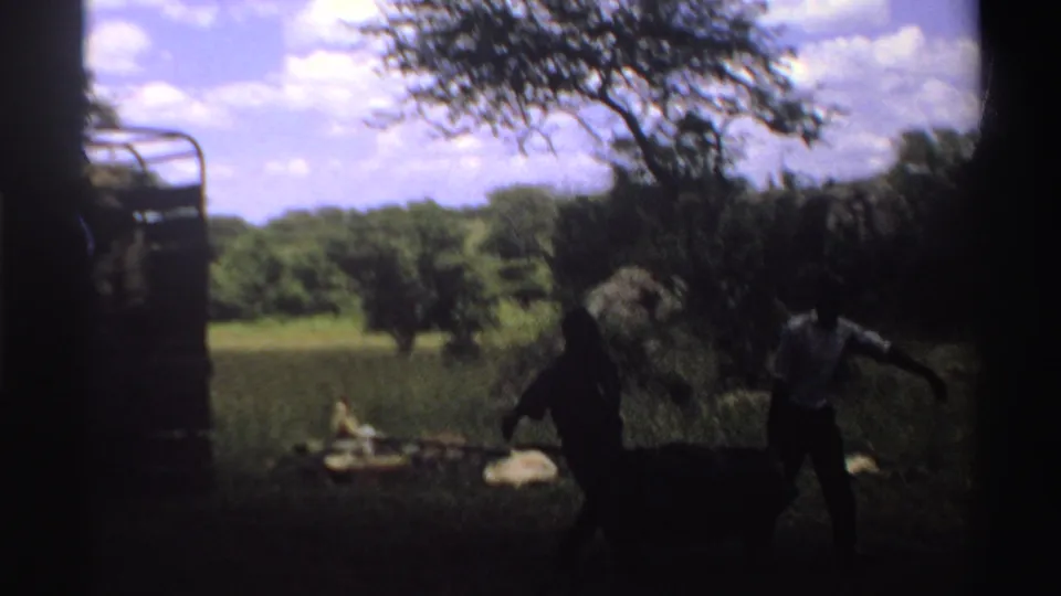 1969 Nigeria 8mm frame showing people carrying or moving hay in a field near a parked truck and trees.
