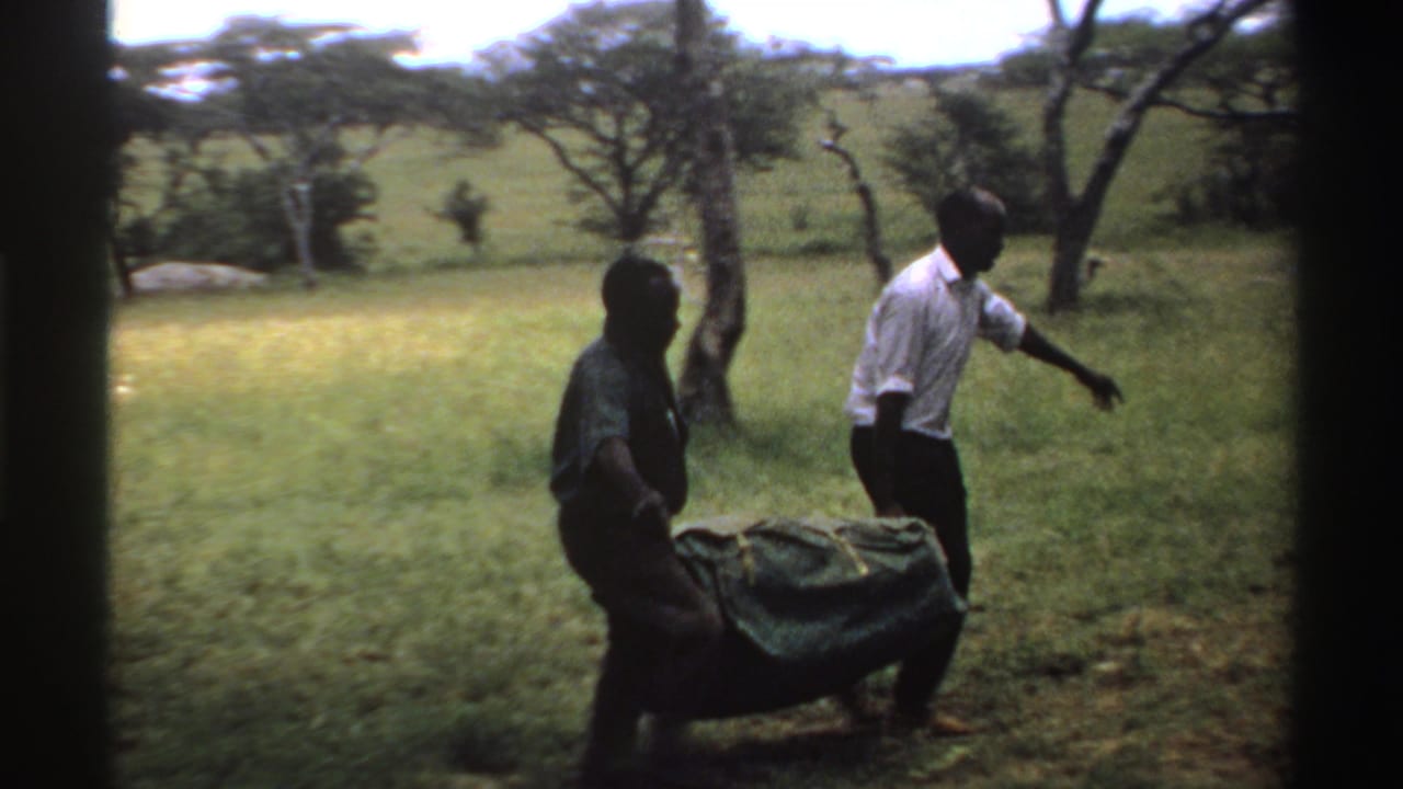 Near the end of the clip, two men carry the dark bundle across a grassy Nigeria field with trees behind them.